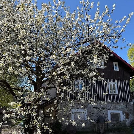 Vila Adelka - Utulna Chalupa V Krkonosich Horní Maršov Exteriör bild