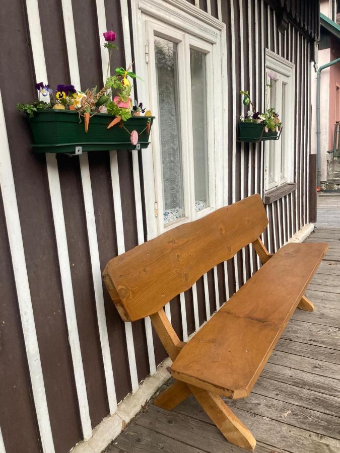 Vila Adelka - Utulna Chalupa V Krkonosich Horní Maršov Exteriör bild